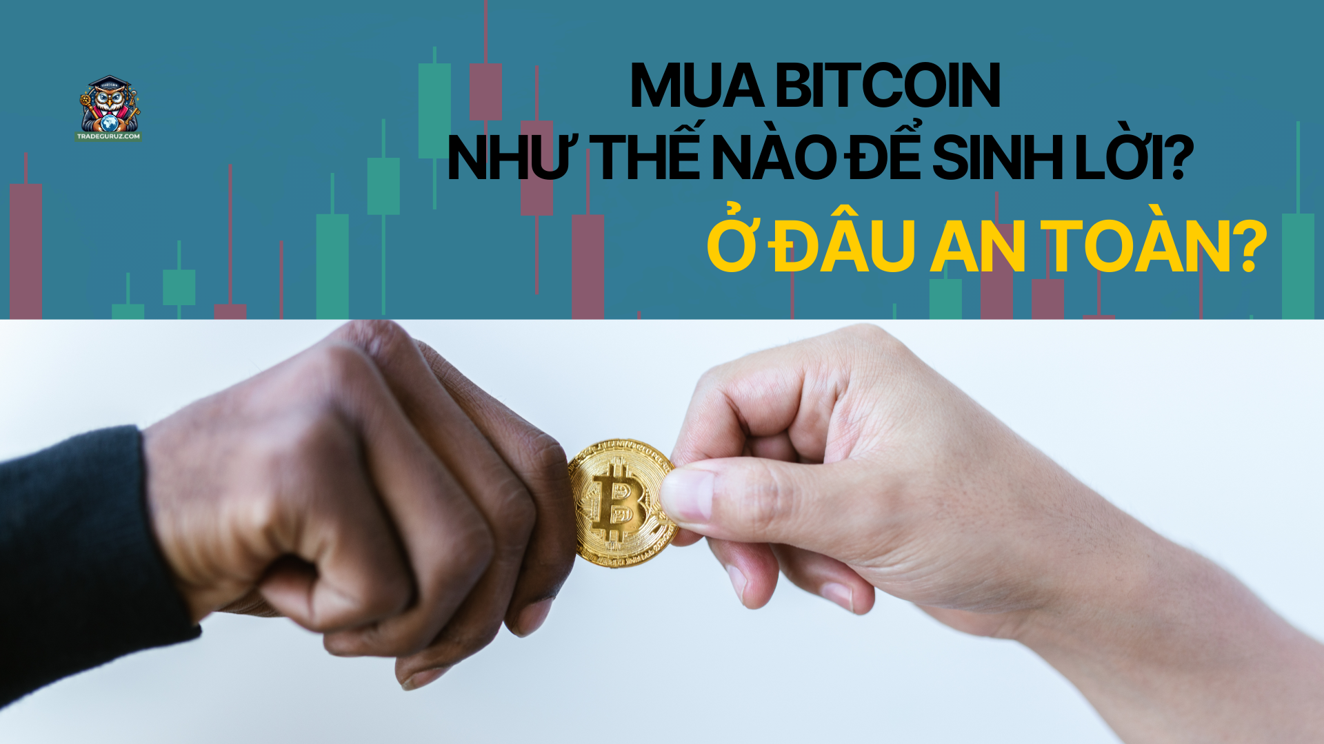 blog-image